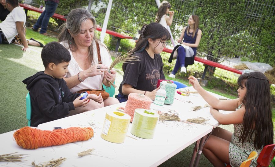 Taller de Lanas y Trenzas